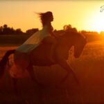 photo-cavalcade-coucher-soleil