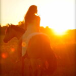 photo-cavalier-coucher-soleil-3