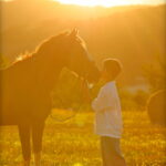 photo-cheval-bisou-coucher-soleil