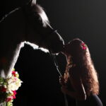 photo-nocturne-cheval-bisou
